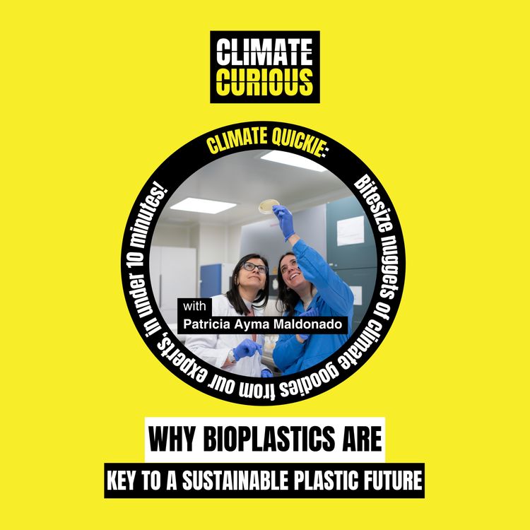 cover art for Why bioplastics are key to a sustainable plastic future