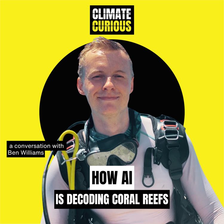 cover art for How AI is decoding coral reefs