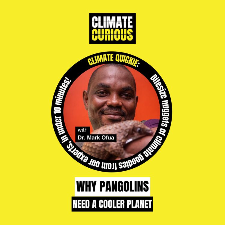 cover art for Why pangolins need a cooler planet
