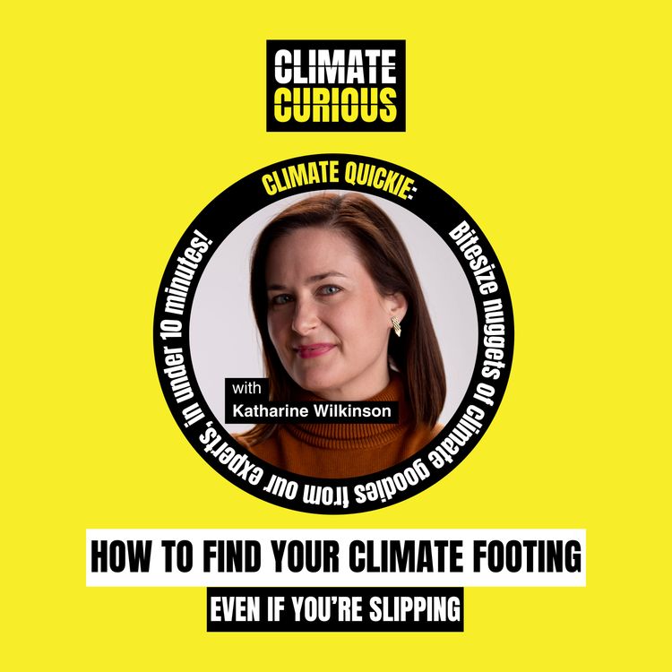 cover art for How to find your climate footing (even if you're slipping)
