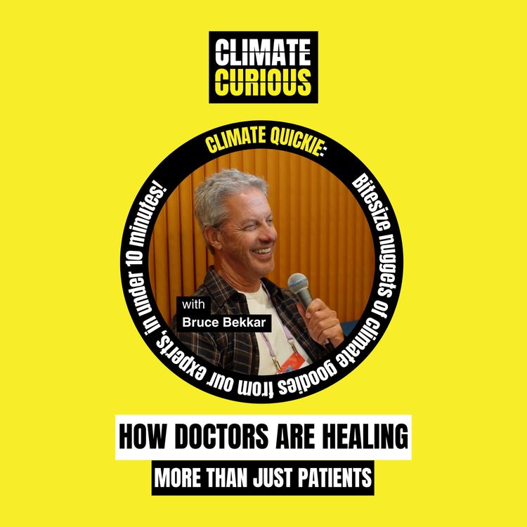 cover art for How doctors are healing more than just patients