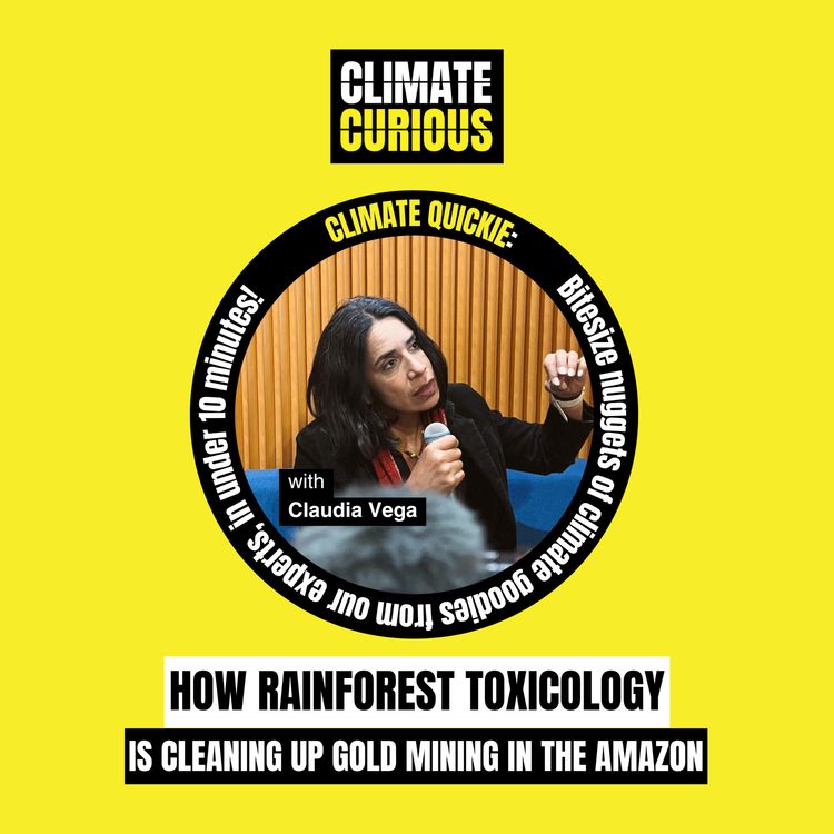 cover art for How a rainforest toxicologist is cleaning up gold mining in the Amazon