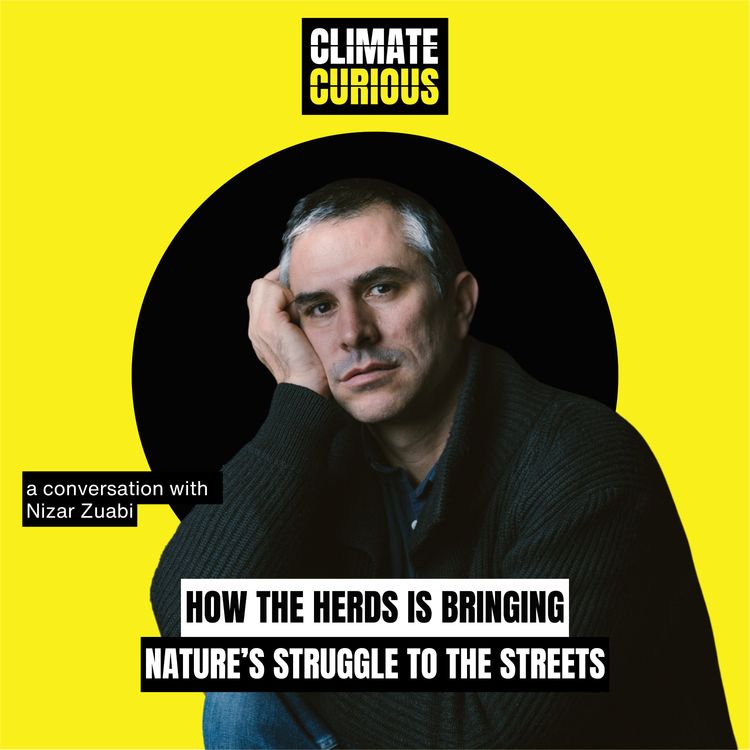 cover art for How The Herds is bringing nature's struggle to the streets