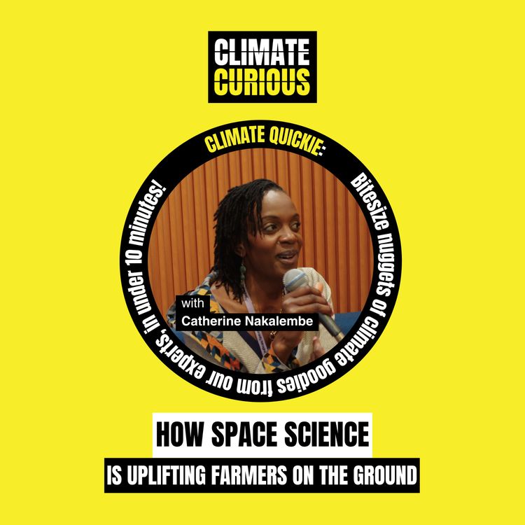 cover art for How space science is uplifting farmers on the ground
