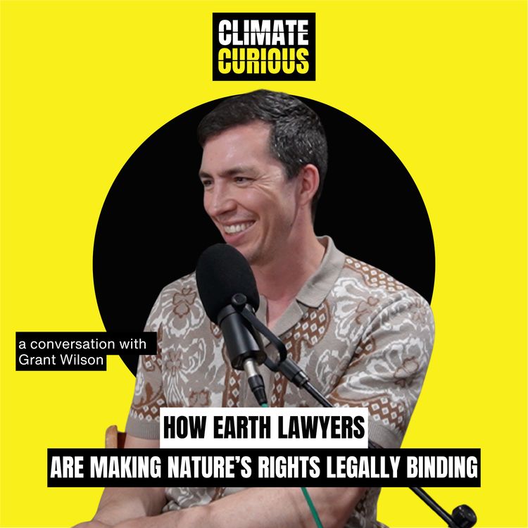 cover art for How earth lawyers are making nature’s rights legally binding