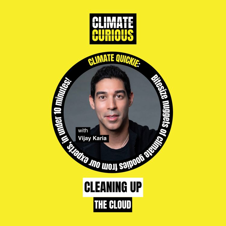cover art for Cleaning up the cloud, with Vijay Karia