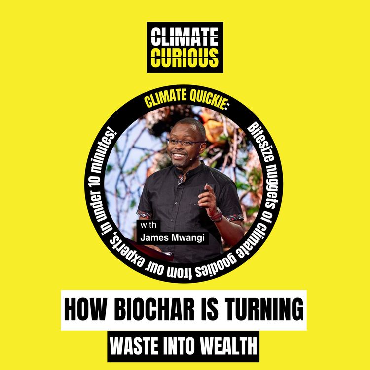 cover art for How biochar is turning waste into wealth, with James Mwangi