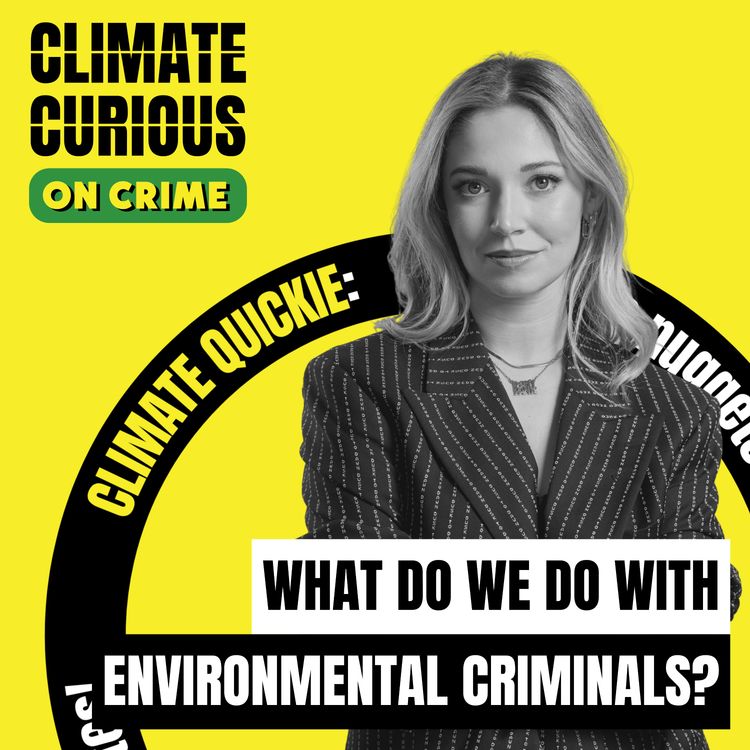 cover art for What do we do with environmental criminals? With Dr. Julia Shaw