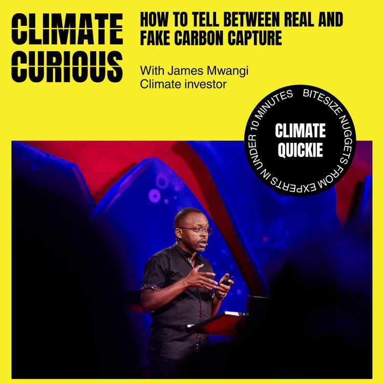 cover art for How to tell between real and fake carbon capture, with James Mwangi