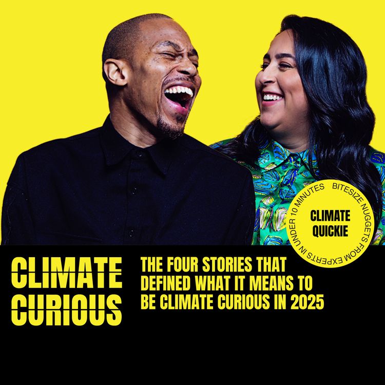 cover art for The stories that defined what it means to be Climate Curious in 2025