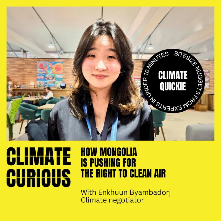 cover art for How Mongolia is pushing for the right to clean air, with Enkhuun Byambadorj