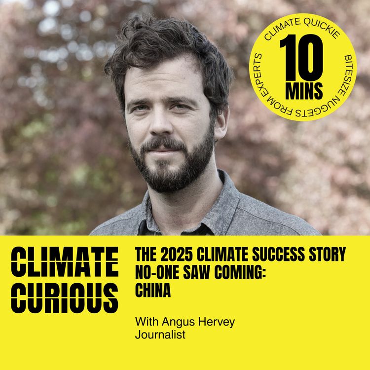 cover art for The 2025 climate success story no-one saw coming: China