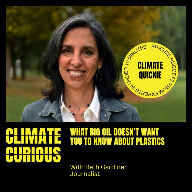 cover art for What Big Oil doesn’t want you to know about plastic, with journalist Beth Gardiner