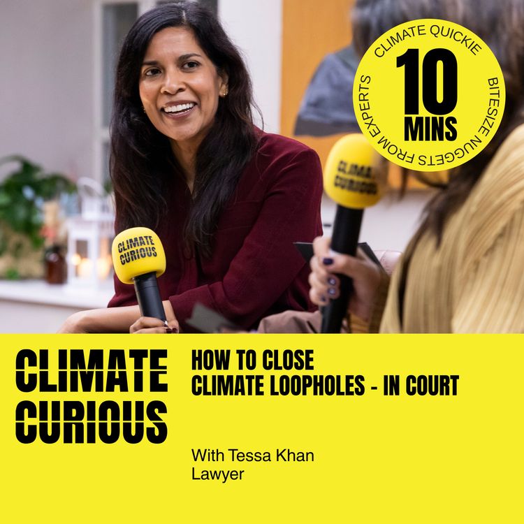 cover art for How to close climate loopholes – in court, with Tessa Khan