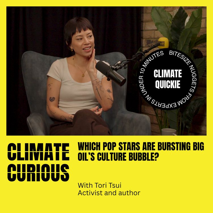 cover art for Which pop stars are bursting Big Oil’s culture bubble? With Tori Tsui