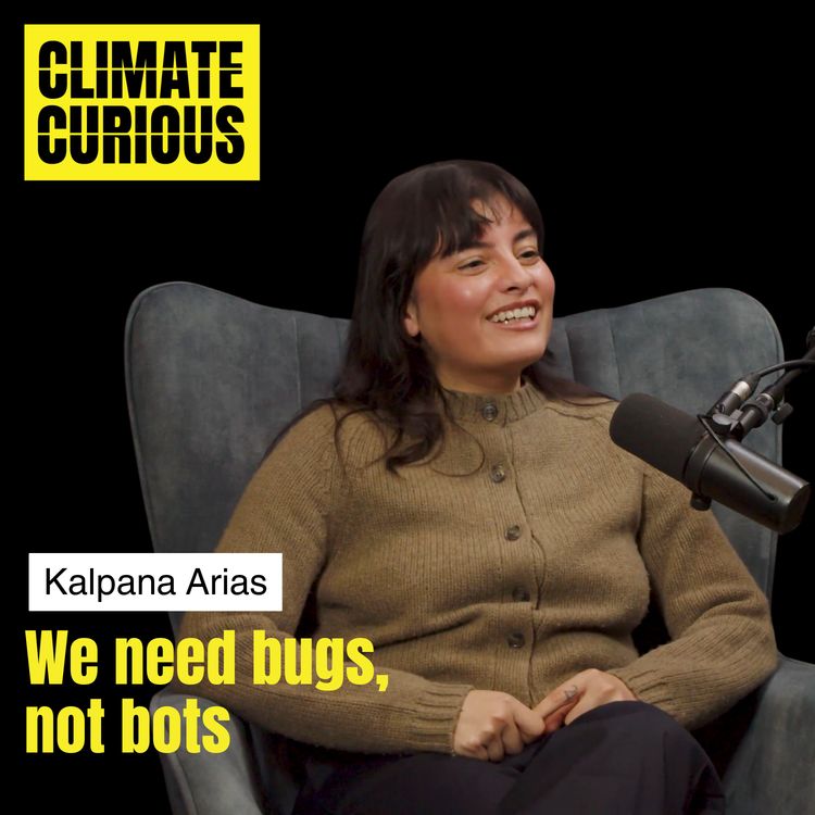 cover art for Why we need bugs, not bots, with Kalpana Arias