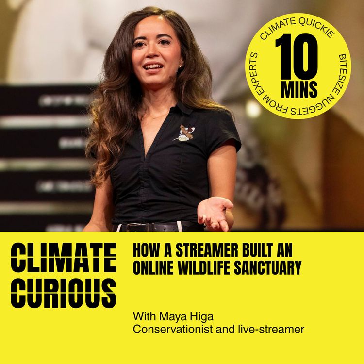 cover art for How a streamer built an online wildlife sanctuary, with Maya Higa