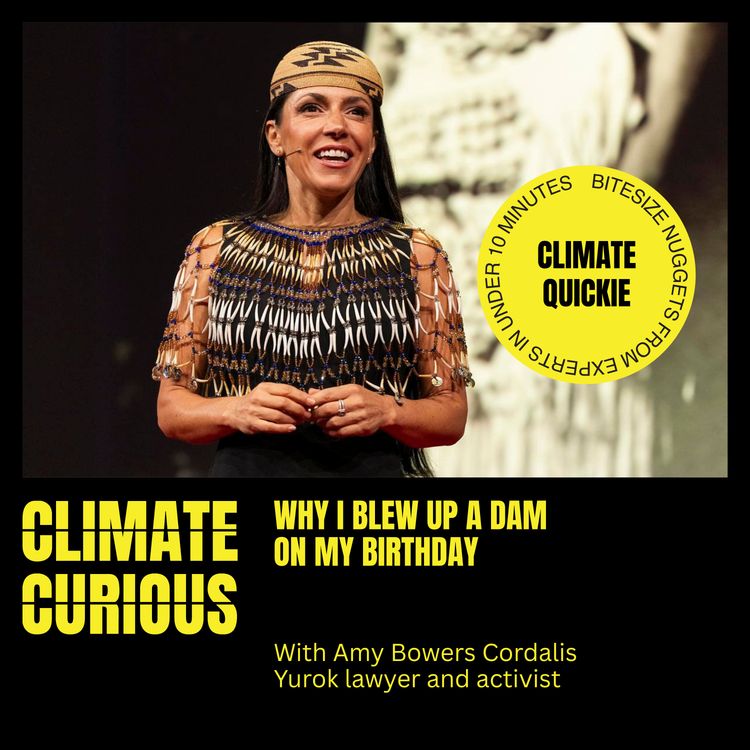 cover art for Why I blew up a dam on my birthday, with Amy Bowers Cordalis