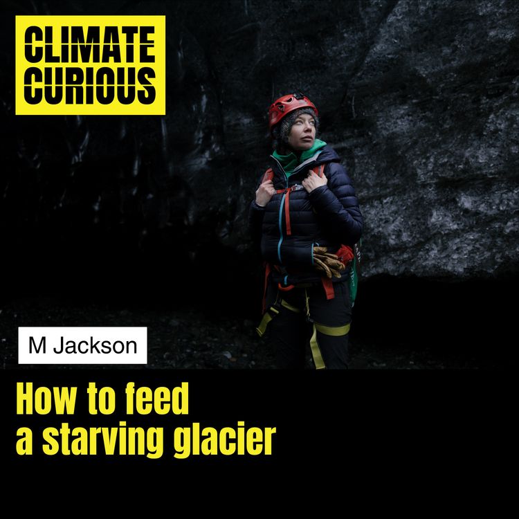 cover art for How to feed a starving glacier, with glaciologist M Jackson
