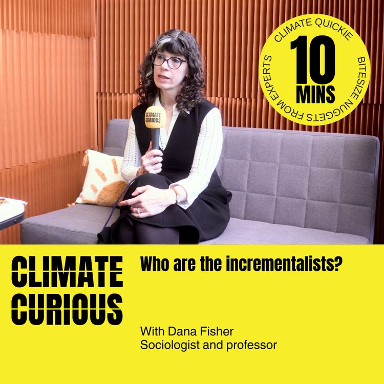 cover art for Who are the incrementalists? with Dana R. Fisher