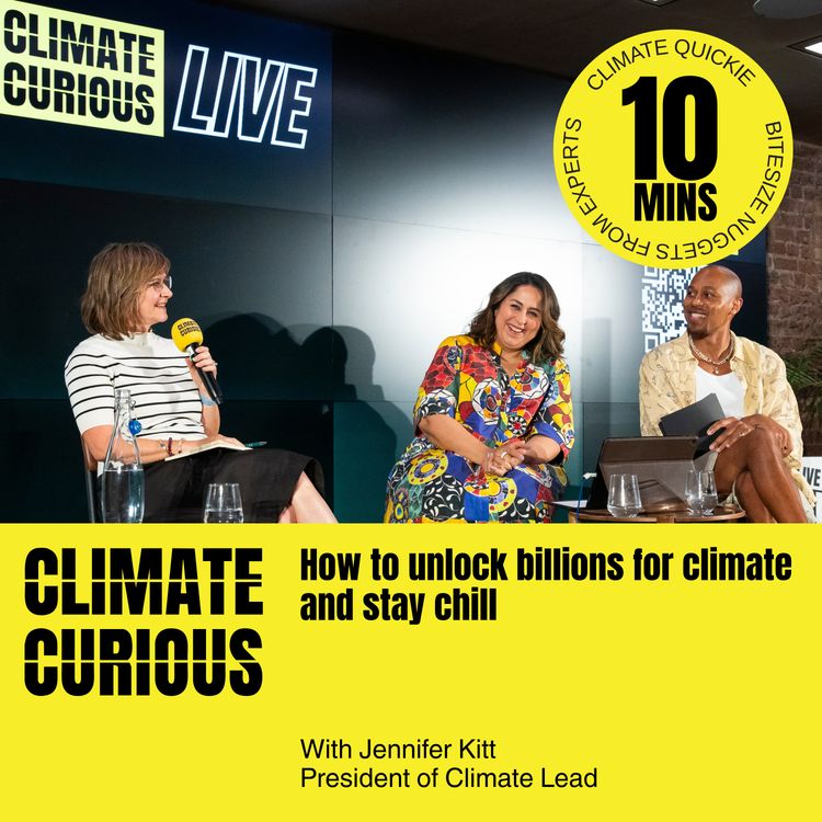 cover art for How to unlock billions for climate and stay chill, with Jennifer Kitt