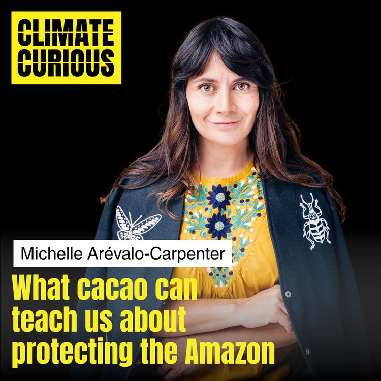 cover art for What cacao can teach us about protecting the Amazon, with Michelle Arévalo-Carpenter
