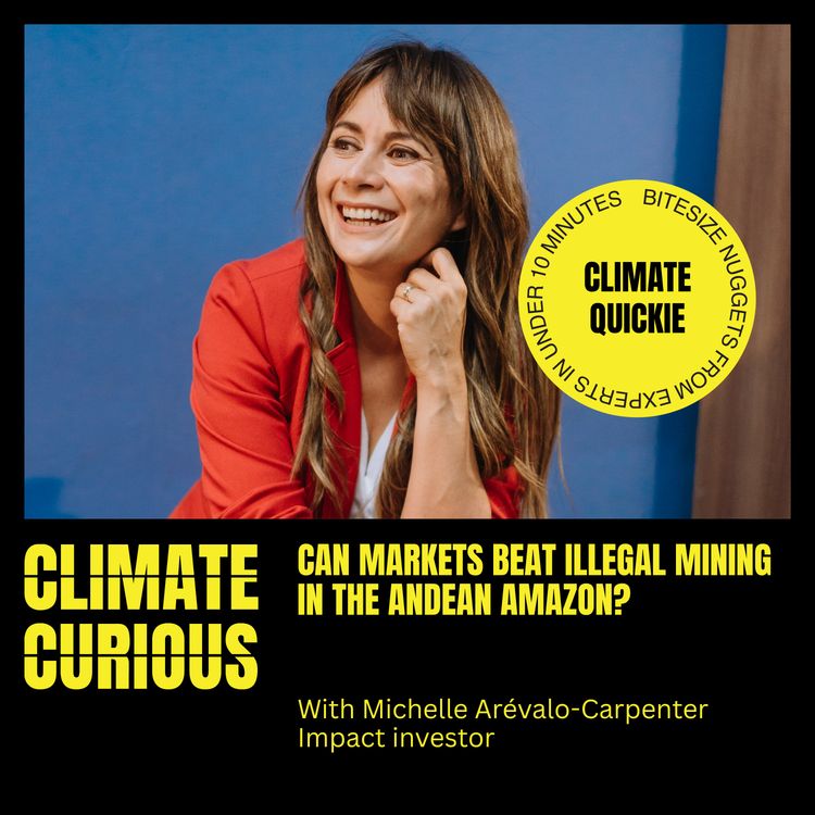 cover art for Can markets beat illegal mining in the Andean Amazon?