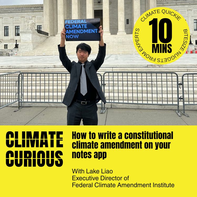 cover art for How to write a constitutional climate amendment on your notes app, with Lake Liao