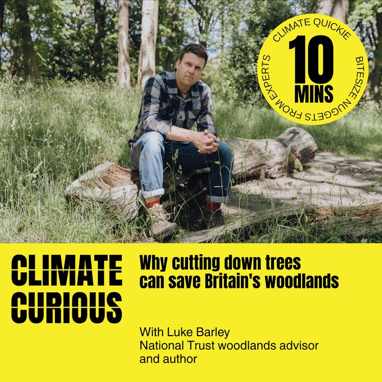 cover art for Why cutting down trees can save Britain's woodlands, with Luke Barley