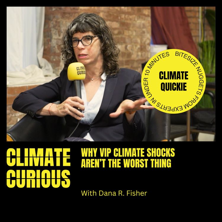 cover art for Why VIP climate shocks aren’t the worst thing, with Dana R. Fisher