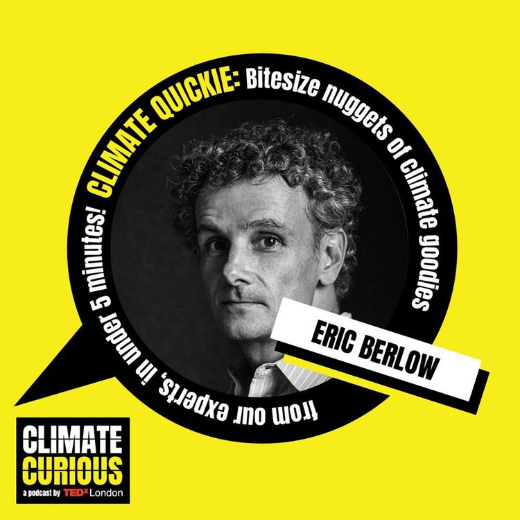 cover art for Where does all the climate funding go?