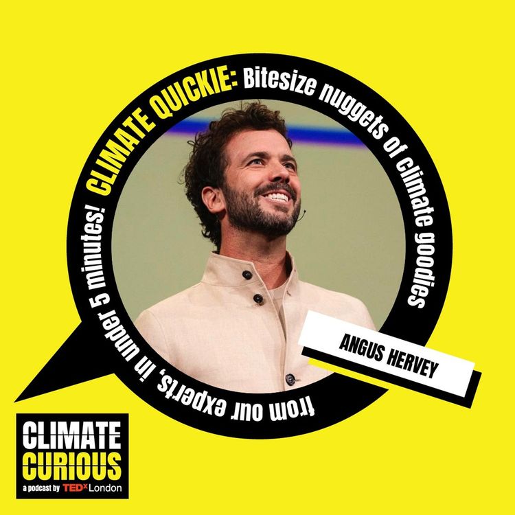 cover art for Climate Quickie: Why we need more good news climate stories