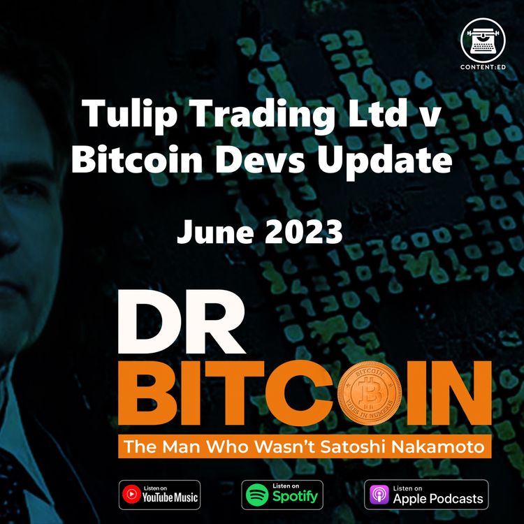 cover art for Tulip Trading Ltd v Bitcoin Devs Update