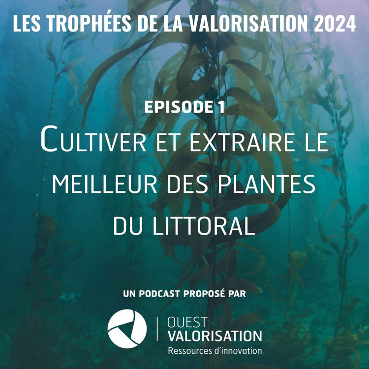 cover art for Episode 1 - Cultiver et extraire le meilleur des plantes du littoral