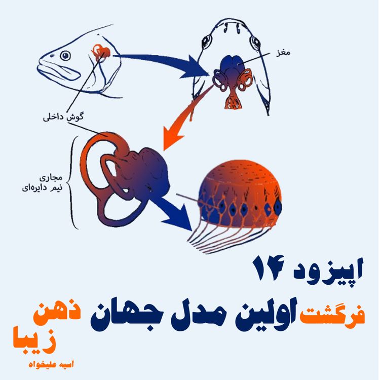 cover art for اپیزود 14- فرگشت اولین مدل جهان