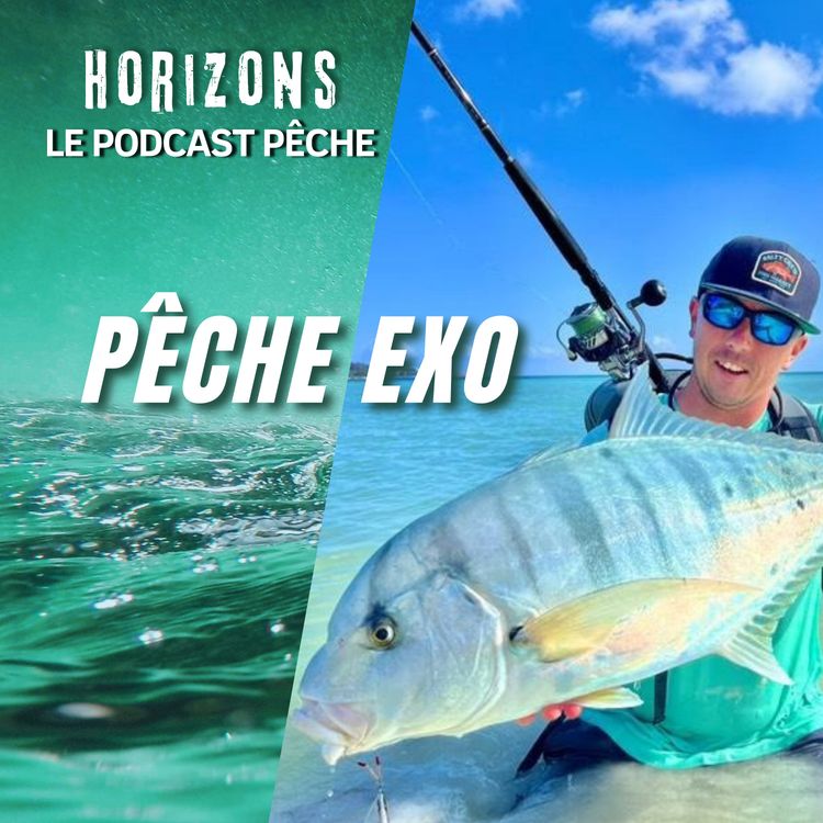 cover art for Tout savoir sur la pêche exo avec Powpit (Robin Allie)