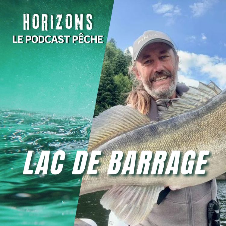 cover art for Comment pêcher du big fish en lac de barrage ?