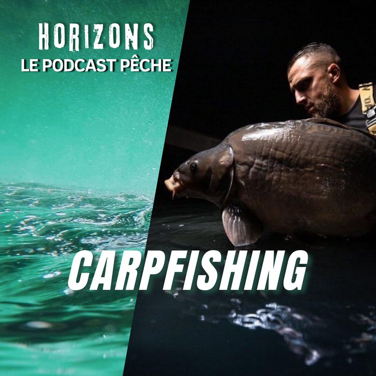 cover art for Comment la plongée améliore sa pêche de la carpe? 