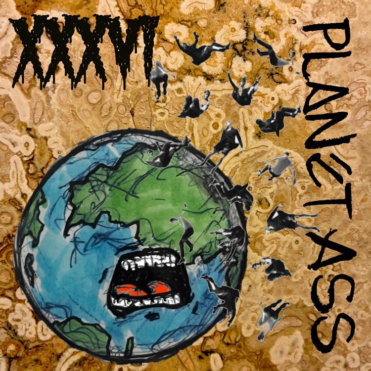 cover art for From Exploding Houses to Cockfights: A Wild Ride on Planet Ass