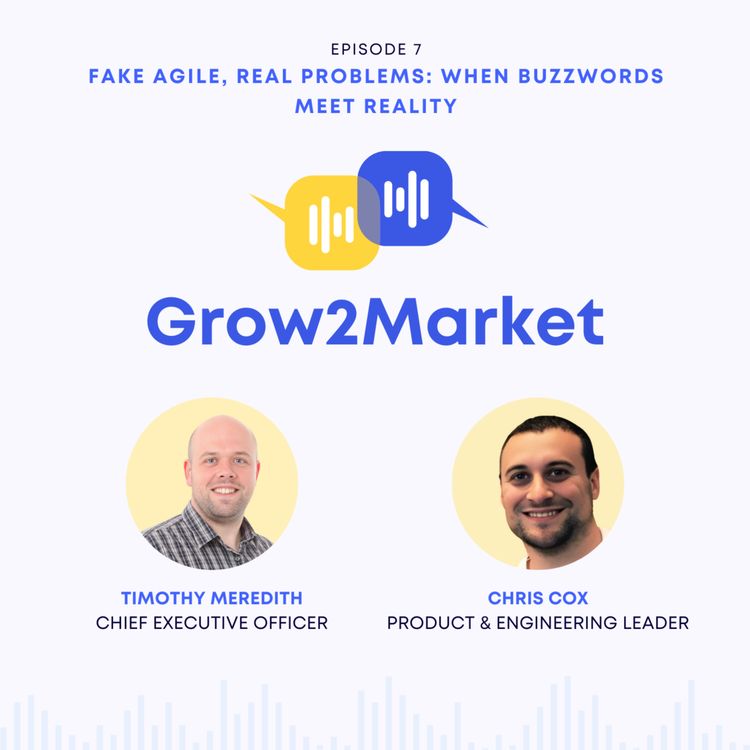 cover art for Fake Agile, Real Problems: When Buzzwords Meet Reality