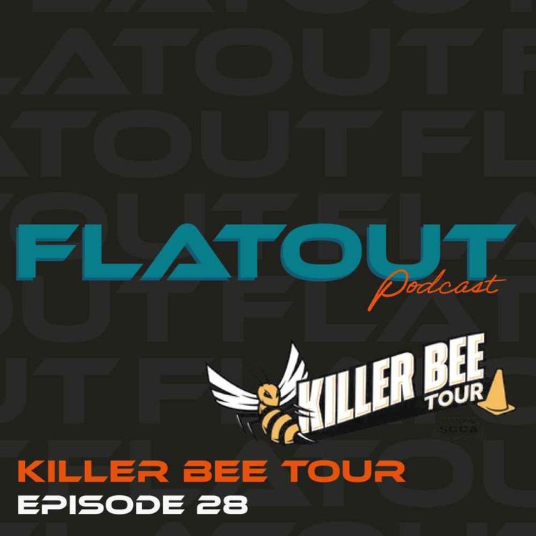 cover art for EP 28 - Killer Bee Tour