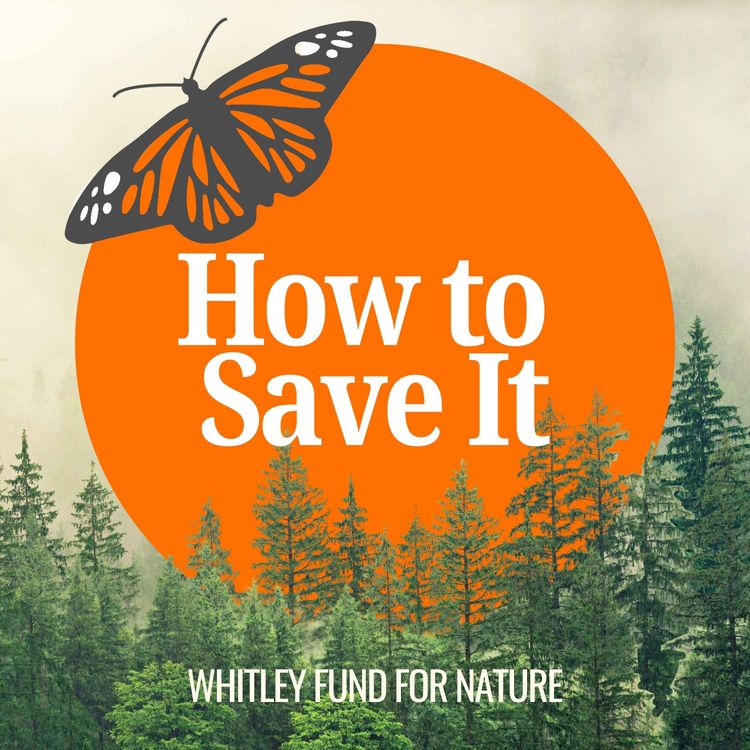 cover art for Guardians of Guyana's Red Siskin