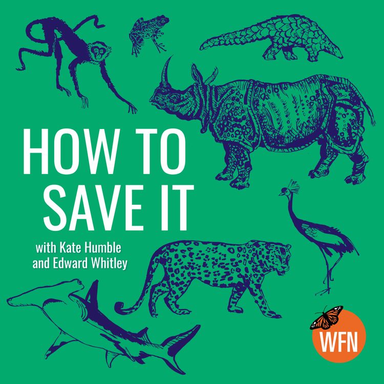 cover art for Tapirs, Night Monkeys and what it takes to save the Amazon