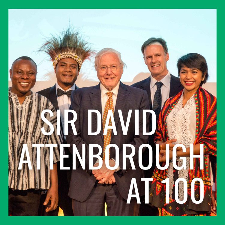 cover art for Sir David Attenborough at 100