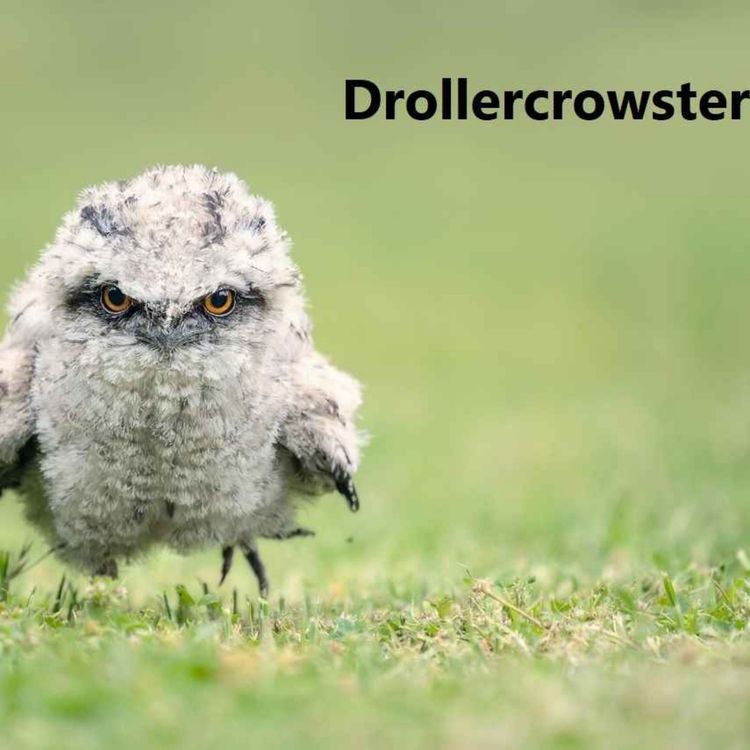 cover art for Drollercrowster