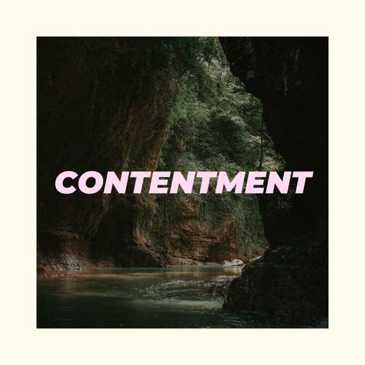 cover art for CONTENTMENT | DAVID SMITH | NOVEMBER 23, 2024
