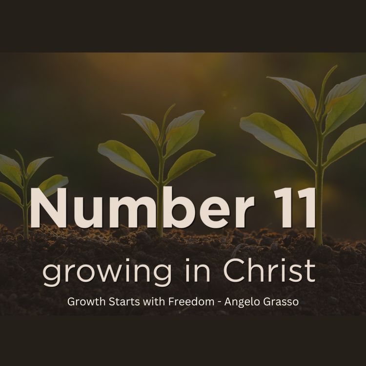 cover art for GROWTH STARTS WITH FREEDOM | ANGELO GRASSO | JUNE 13, 2026