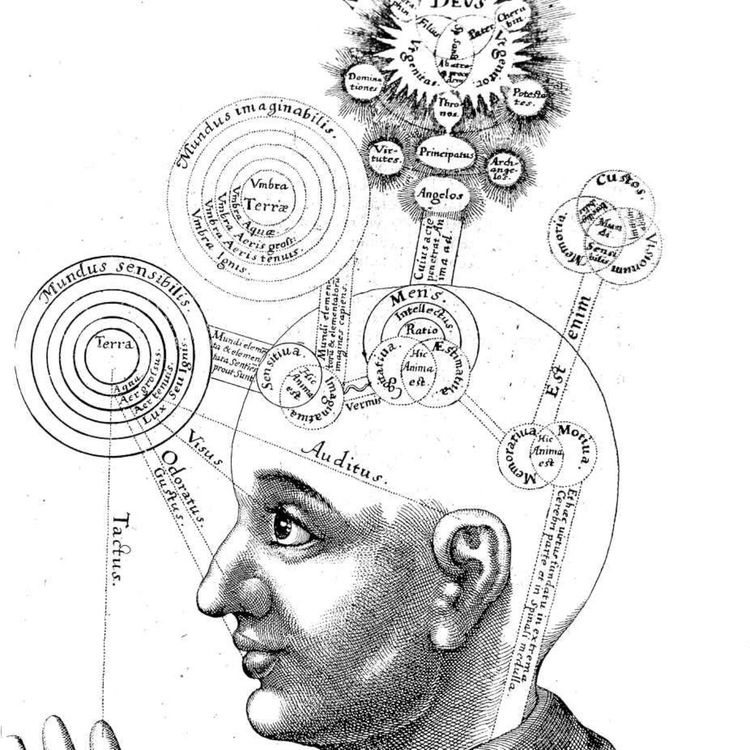 cover art for Avsnitt 7: Sällsynta psykiska störningar