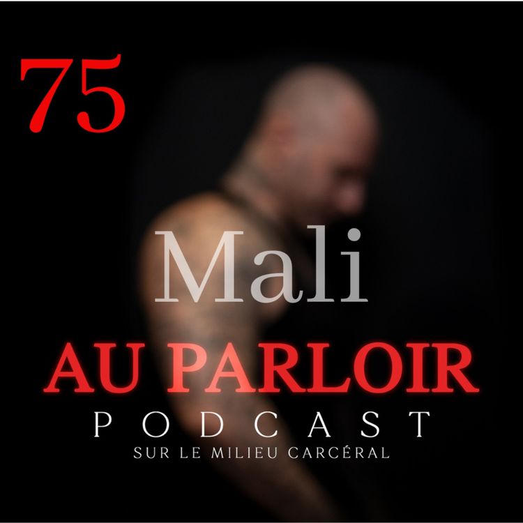 cover art for Épisode #75 - Mali