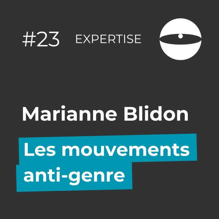 cover art for Les mouvements anti-genre - Marianne Blidon